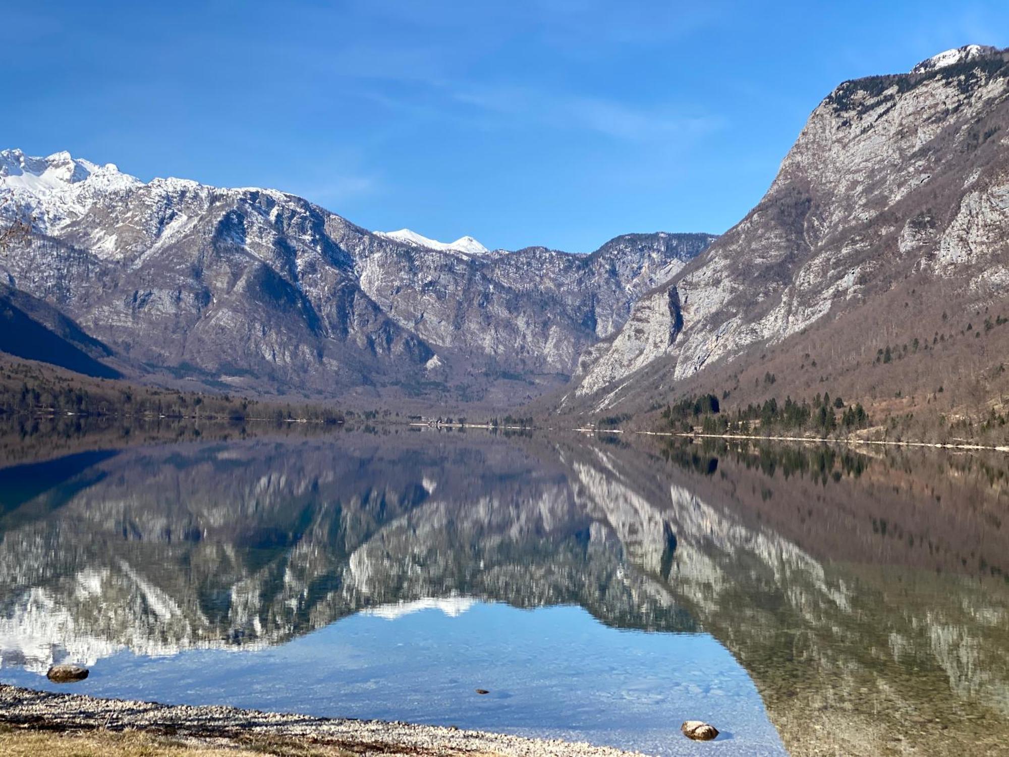 Mountain View In Triglav National Park Apartment Bohinj Exterior photo